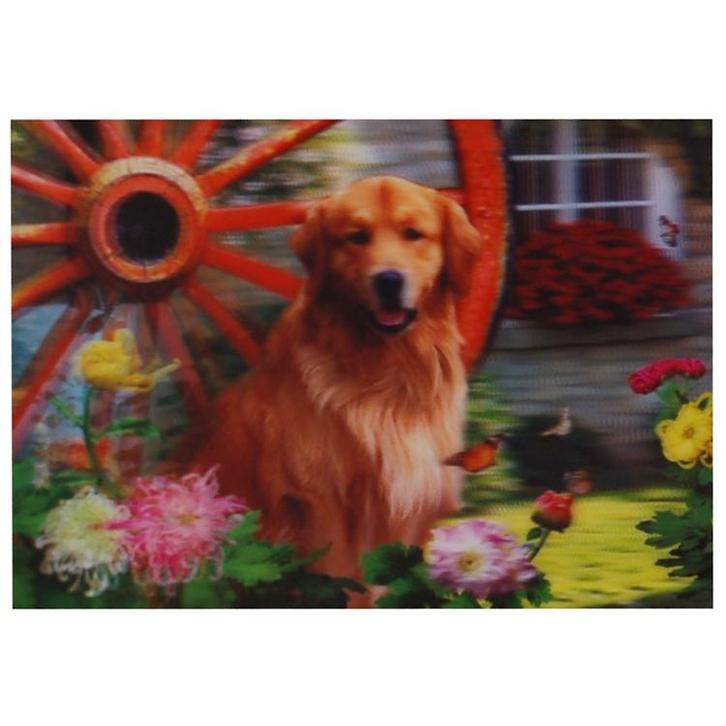 3d poster Golden Retriever NIEUW, Verzamelen, Posters, Nieuw, Ophalen of Verzenden