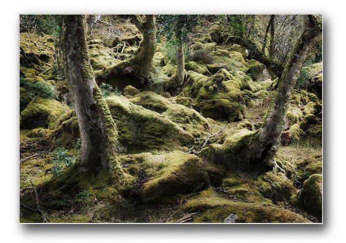 Ernst Yperlaan - Early Spring, Antiek en Kunst, Kunst | Designobjecten