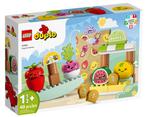 Lego Duplo 10983 Biomarkt, Kinderen en Baby's, Speelgoed | Duplo en Lego, Nieuw, Ophalen of Verzenden