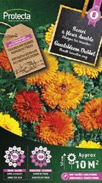 Protecta Bloemen zaden: Goudsbloem Dubbel gemengd, Ophalen of Verzenden