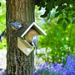 Pindakaashuisje voor vogels | Voederhuisje voor pindakaas, Verzenden, Nieuw