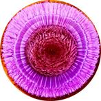 Véronique Dumont - Eclosion