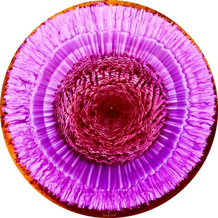 Véronique Dumont - Eclosion, Antiek en Kunst, Kunst | Schilderijen | Modern