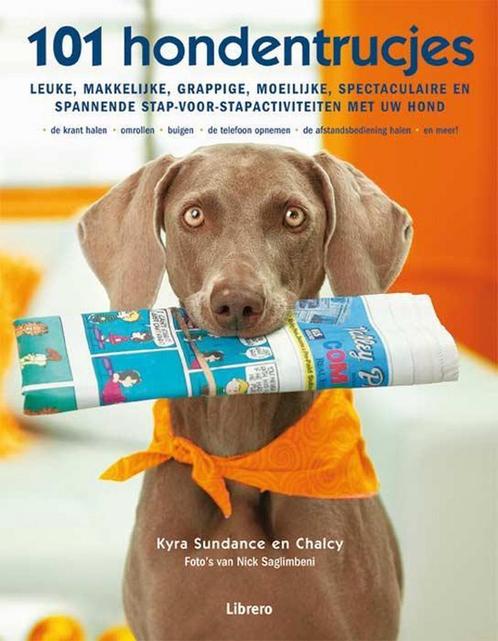101 hondentrucjes 9789089980960 Kyra Sundance, Boeken, Hobby en Vrije tijd, Gelezen, Verzenden