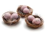Nestjes met 2 kwarteleitjes en veertjes - nude pink doos van, Ophalen of Verzenden, Nieuw
