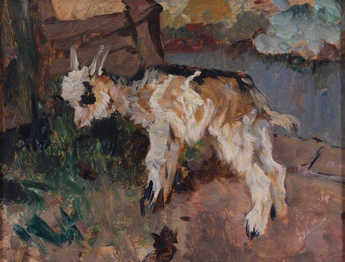 Willem Hendrik van der Nat (1864–1929) - Kleine geit, Antiek en Kunst, Kunst | Schilderijen | Klassiek