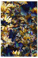 Elena Paraskeva - Madness Of A Thousand Blooms -XXL