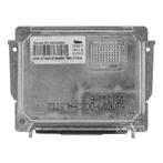 Renault Espace 03-2006 tot 01-2015 7701208945 Ballast, Ophalen of Verzenden, Nieuw, Renault