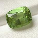 Zonder Minimumprijs - 1 pcs Groen Olivijn - 6.62 ct -, Sieraden, Tassen en Uiterlijk, Edelstenen, Nieuw