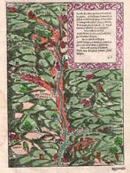 Frankrijk - Elzas; Sebastian Munster, 1556 - Namen der, Nieuw