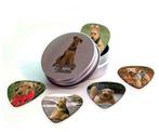 Blikje + plectrums met afbeelding van Airedale Terriër hond, Verzamelen, Overige Verzamelen, Nieuw, Ophalen of Verzenden