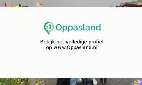 Bas zoekt een oppas in Goes voor 2 kinderen., Vacatures, Goede doelen en Vrijwilligerswerk