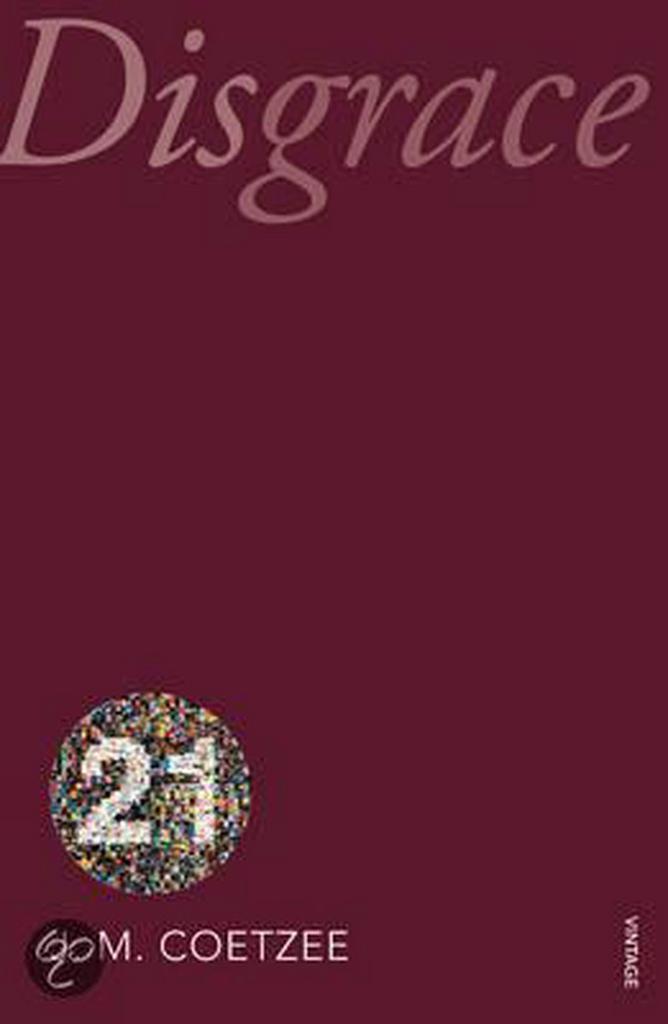 Disgrace 9780099563129 J. M. Coetzee, Boeken, Taal | Engels, Gelezen, Verzenden