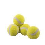ROSEWOOD JOLLY DOGGY TENNISBAL MINI 5 ST (Honden) (Honden), Dieren en Toebehoren, Verzenden, Nieuw