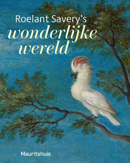 Roelant Saverys wonderlijke wereld 9789462625211, Boeken, Kunst en Cultuur | Beeldend, Zo goed als nieuw, Verzenden
