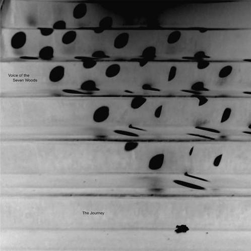 10 Inch - Voice Of The Seven Woods - The Journey, Cd's en Dvd's, Vinyl Singles, Zo goed als nieuw, Verzenden