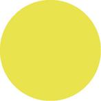 Neon Yellow 101, Hobby en Vrije tijd, Kledingapplicaties en Hotfix, Nieuw, Overige applicaties, Verzenden