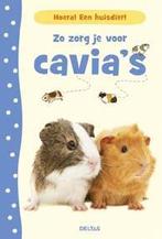 Zo zorg je voor cavias / Hoera! Een huisdier! 9789044738537, Boeken, Verzenden, Zo goed als nieuw, Katherine Starke