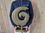 sculptuur, Art Sculpture The Vortex - Modern Art - 40.5 cm