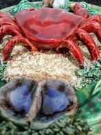 Álvaro José de Caldas Da Rainha - Schotel - cangrejo -, Antiek en Kunst