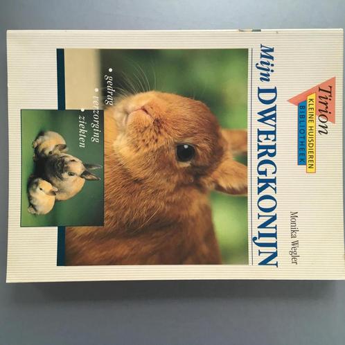 Mijn dwergkonijn / Tirion kleine huisdieren bibliotheek, Boeken, Hobby en Vrije tijd, Gelezen, Verzenden