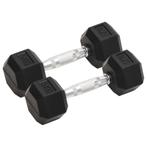 vidaXL Halters 2 st 10 kg gietijzer, Verzenden, Nieuw