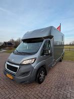 Prachtige Peugeot paardenwagen - 2016 - 56.000M!, Ophalen, Zo goed als nieuw, Polyester, 2-paards trailer