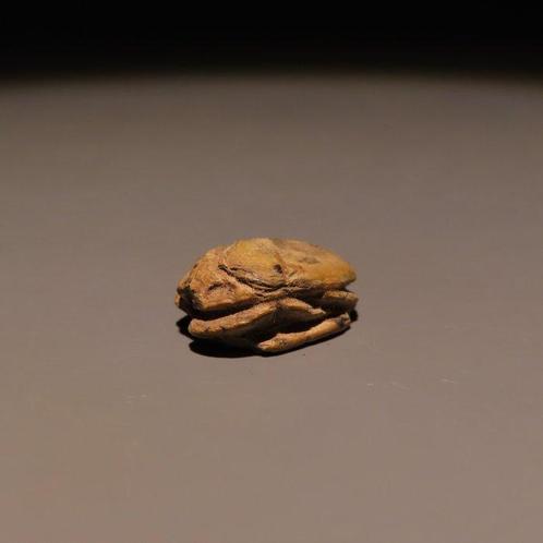 Oud-Egyptisch Speksteen Scarabee met de naam van farao, Verzamelen, Mineralen en Fossielen
