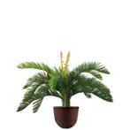 Cycas kunstplant, H70cm, Huis en Inrichting, Kamerplanten, Ophalen of Verzenden