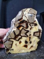 XXL Septaria, Septarie sculpture - Hoogte: 163 mm - Breedte:, Verzamelen, Mineralen en Fossielen
