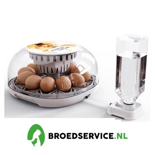 Compleet Expert Volauomatische broedmachines + GRATIS EIEREN, Dieren en Toebehoren, Pluimvee | Toebehoren, Broedmachine, Nieuw