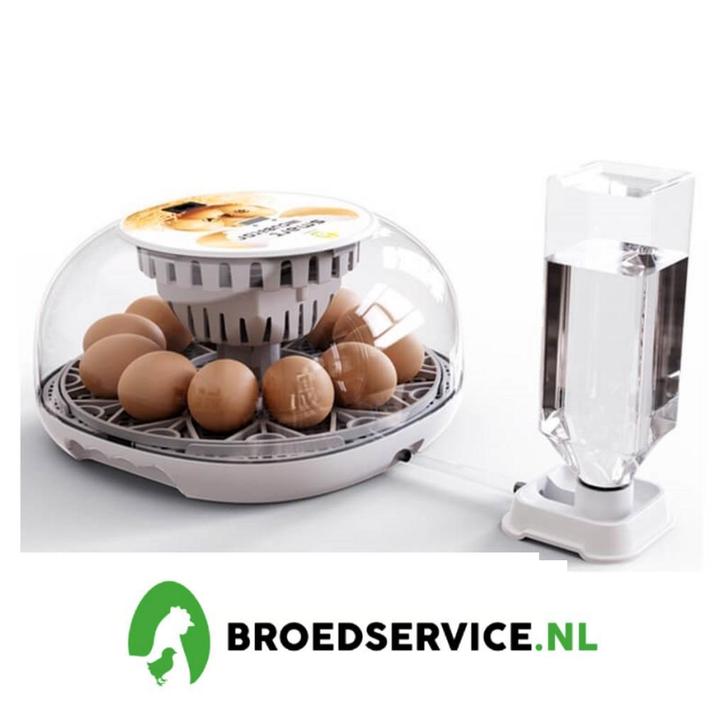 Compleet Expert Volauomatische broedmachines + GRATIS EIEREN, Dieren en Toebehoren, Pluimvee | Toebehoren, Broedmachine, Nieuw