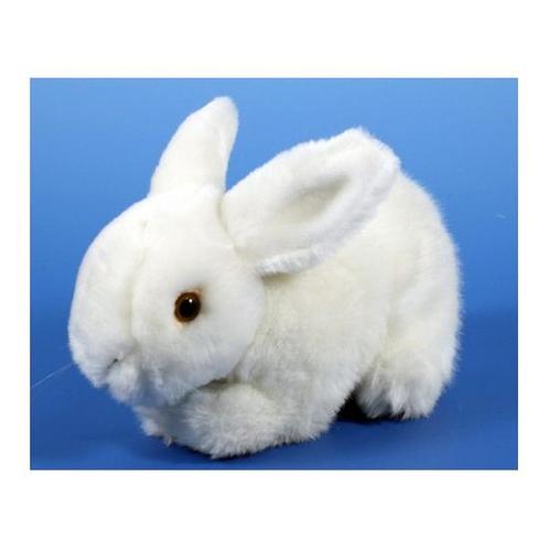 ≥ Pluche konijn knuffel wit 20 cm - Knuffel | Knuffels Pluche — Marktplaats