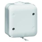 Honeywell Peha Splashproof Installatie Schakelaar - 00387621, Verzenden, Nieuw, Overige typen