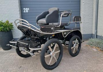 Calypso nieuwstaat occasion menwagen koets marathonwagen beschikbaar voor biedingen