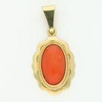 Zonder minimumprijs - Hanger - 14 karaat Geel goud -