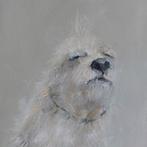 Dorien Plaat - Hairy buddy