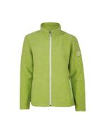 Ivanhoe dames wollen full-zip vest Beata Lime - Groen, Ivanhoe of Sweden, Verzenden, Nieuw, Groen