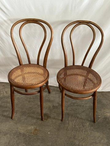 Stoel - Walnoot - Twee stoelen in Thonet-stijl beschikbaar voor biedingen