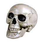 Halloween Schedel Beweegbare Kaak, Verzenden, Nieuw