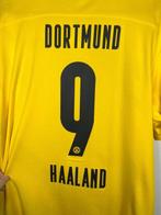 Borrusia Dortmund - Duitse voetbal competitie - Erling, Nieuw