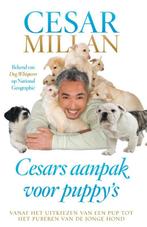 Cesars aanpak voor puppys 9789048820924 Melissa Jo Peltier, Verzenden, Gelezen, Melissa Jo Peltier