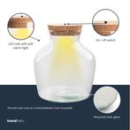 Terrarium fles met LED-verlichting - Gesloten terrarium - Li, Verzenden, Nieuw