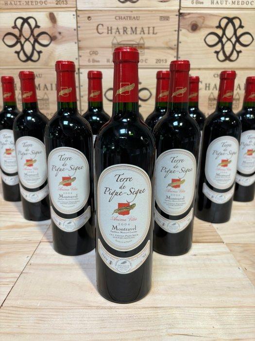 2004 Château Terre de Pique-Sègue Anima Vitis - montravel -, Verzamelen, Wijnen