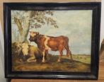 nicht signiert - Küh, Antiek en Kunst, Kunst | Schilderijen | Klassiek