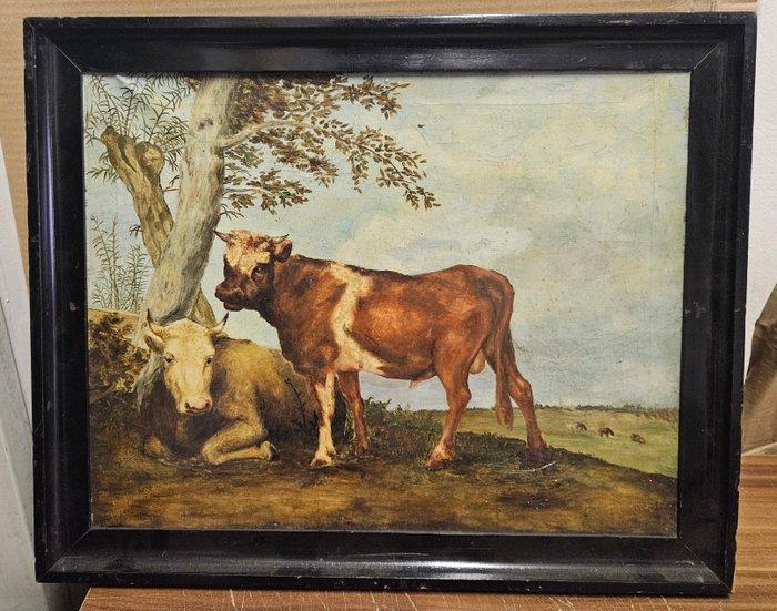 nicht signiert - Küh, Antiek en Kunst, Kunst | Schilderijen | Klassiek