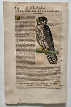 Conrad Geaner - Icones animalium quadrupedum uiuiparorum et, Antiek en Kunst