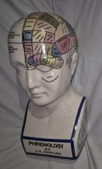 Buste hoofd phrenology (FN Fowler) - Hoofd - Keramiek