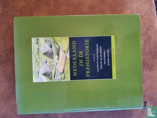 Broeke, P.W. van den - Nederland in de prehistorie - 2005, Boeken, Geschiedenis | Wereld, Europa, Zo goed als nieuw, Verzenden