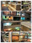 Stocklist Terrarium Tilburg